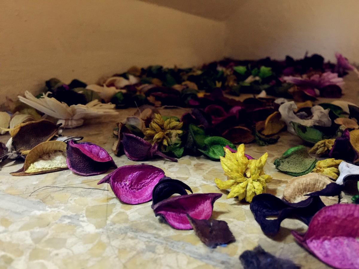 Small Elephant Hostel バンコク都 エクステリア 写真